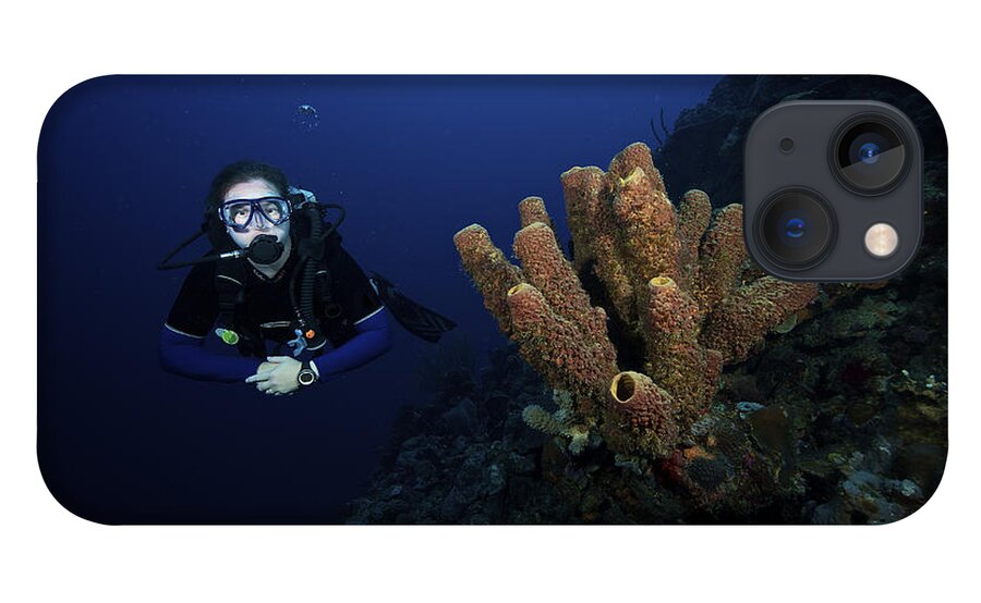 Scuba Diver Swims By Some Large Sponges #2 iPhone 13 Case by Terry Moore -  Pixels
