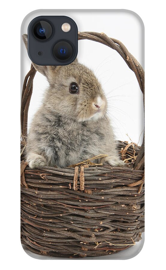 Animal iPhone 13 Case featuring the photograph Bunny In A Basket #3 by Mark Taylor