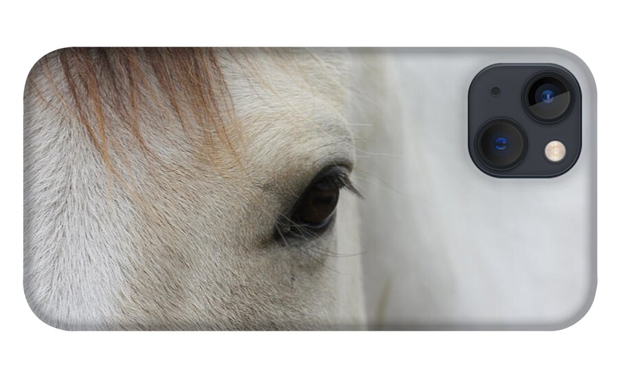 White Horse iPhone 13 Case featuring the photograph A Sense Of Serenity by Kim Galluzzo