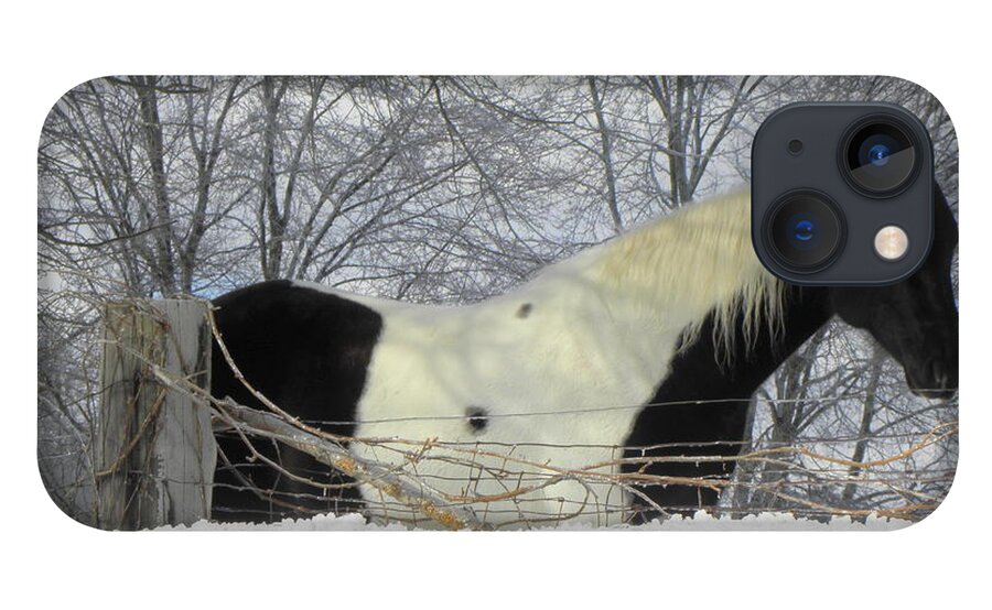 Horse iPhone 13 Case featuring the photograph An Oreo Horse In The Snow by Kim Galluzzo