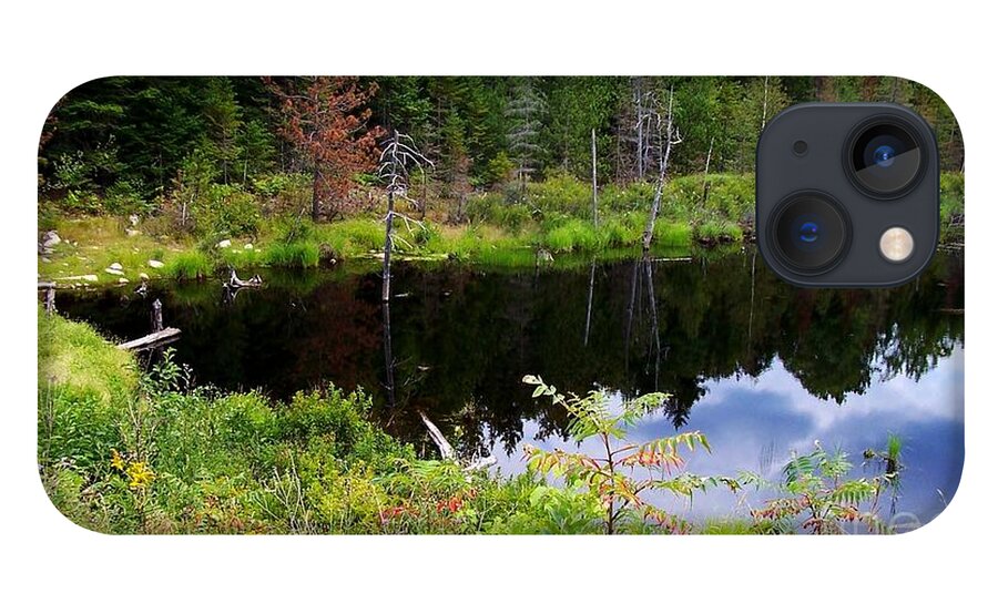 Vivid Green iPhone 13 Case featuring the photograph Beaver Pond 1 by Peggy Miller
