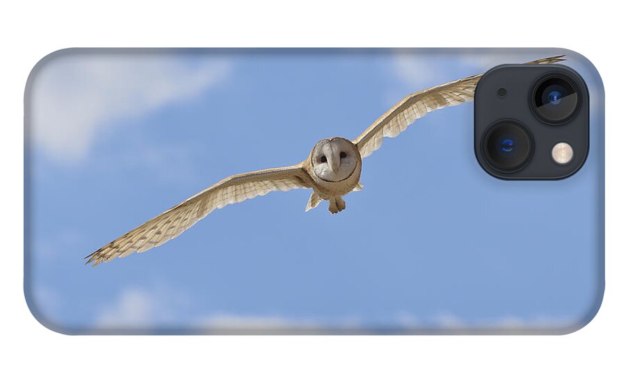 Landscape iPhone 13 Case featuring the photograph Blue sky barn owl by John T Humphrey