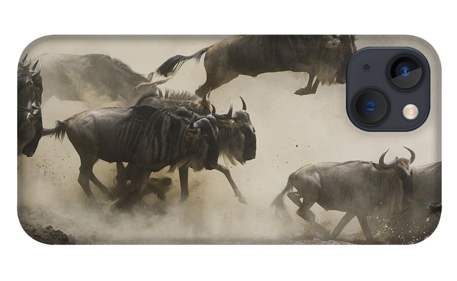 00761256 iPhone 13 Case featuring the photograph Blue Wildebeest Crossing Mara River by Suzi Eszterhas