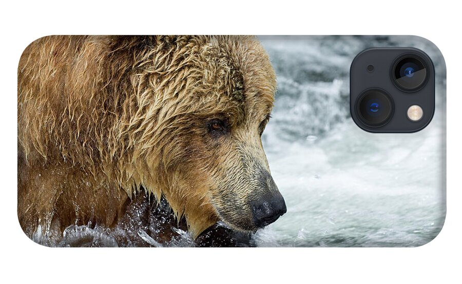Mp iPhone 13 Case featuring the photograph Brown Bear Ursus Arctos Foraging by Sergey Gorshkov