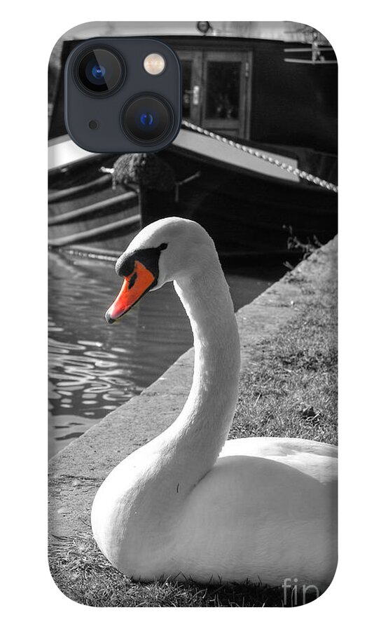  Yhun Suarez iPhone 13 Case featuring the photograph Canal Swan by Yhun Suarez