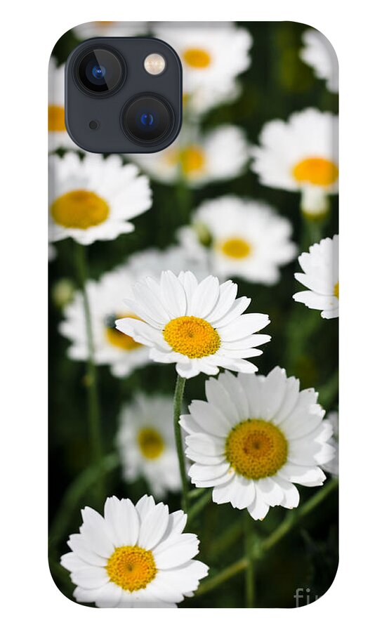 Daisy iPhone 13 Case featuring the photograph Daisies in a field by Simon Bratt