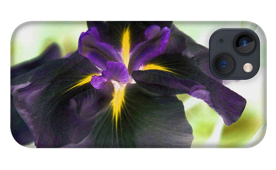 Flower iPhone 13 Case featuring the photograph Electric Japanese Iris by Smilin Eyes Treasures