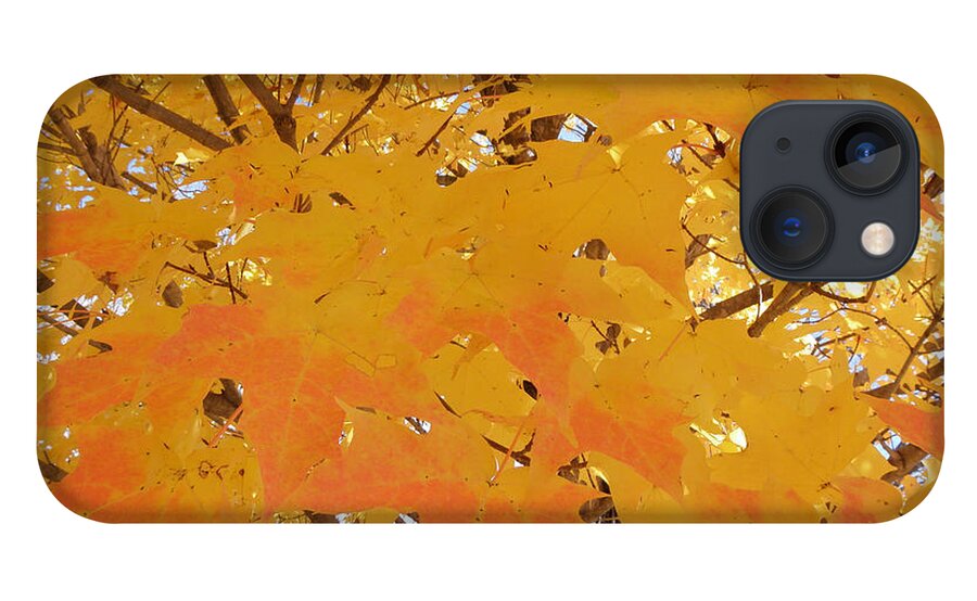 Fall iPhone 13 Case featuring the photograph Fall in New England by Kim Galluzzo Wozniak