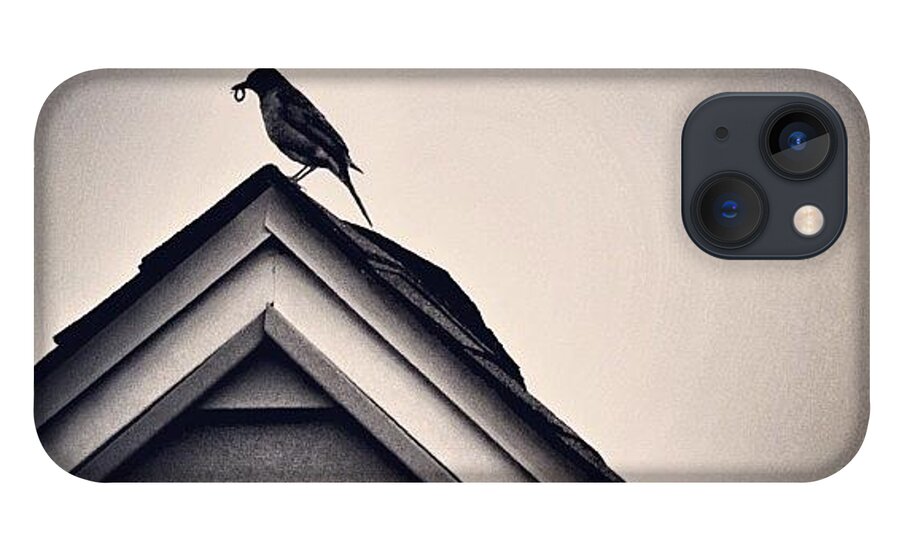 South Jersey iPhone 13 Case featuring the photograph Feeding Time by Penni D'Aulerio