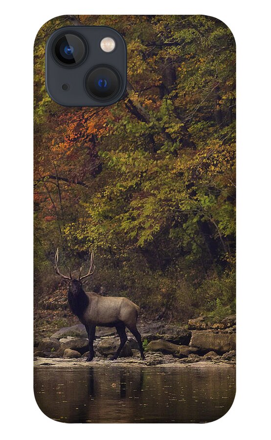 Fall Color iPhone 13 Case featuring the photograph Herd Bull Crossing the Buffalo River by Michael Dougherty