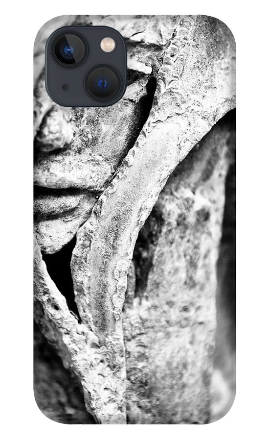 Iron iPhone 13 Case featuring the photograph Ironclad by Niels Nielsen