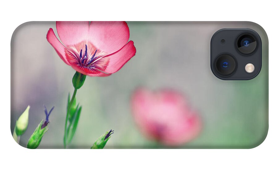 Wildflower iPhone 13 Case featuring the photograph It starts with one by Joel Olives