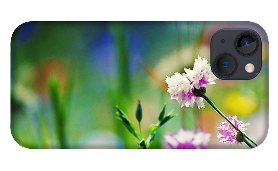 Wildflowers iPhone 13 Case featuring the photograph Lean In To It by Joel Olives