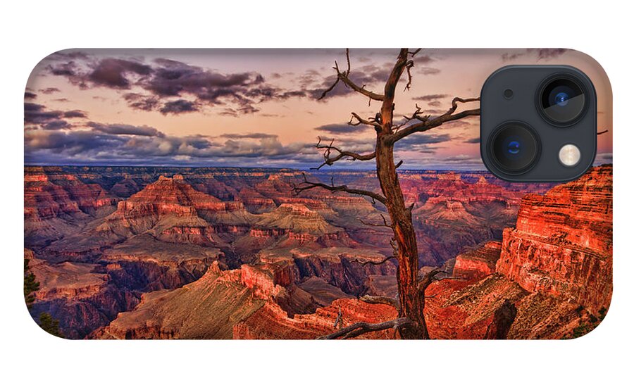 Grand Canyon iPhone 13 Case featuring the photograph Lone Observer by Beth Sargent