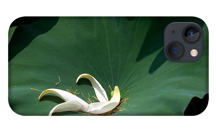 Nature iPhone 13 Case featuring the photograph Lotus Leaf--Castoff iii DL060 by Gerry Gantt