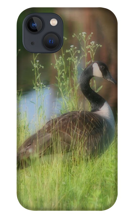 Canada Goose iPhone 13 Case featuring the photograph Lovely Lady Canada Goose by Smilin Eyes Treasures