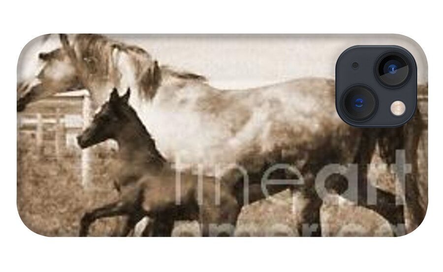 Mare iPhone 13 Case featuring the photograph Mare and Foal by Vonda Lawson-Rosa