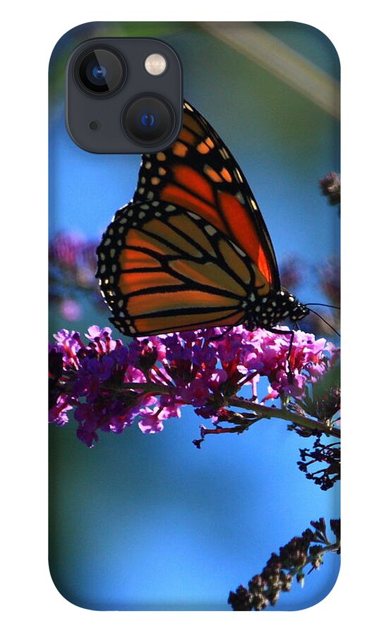 Butterfly iPhone 13 Case featuring the photograph Monarch Butterfly by Patrick Witz