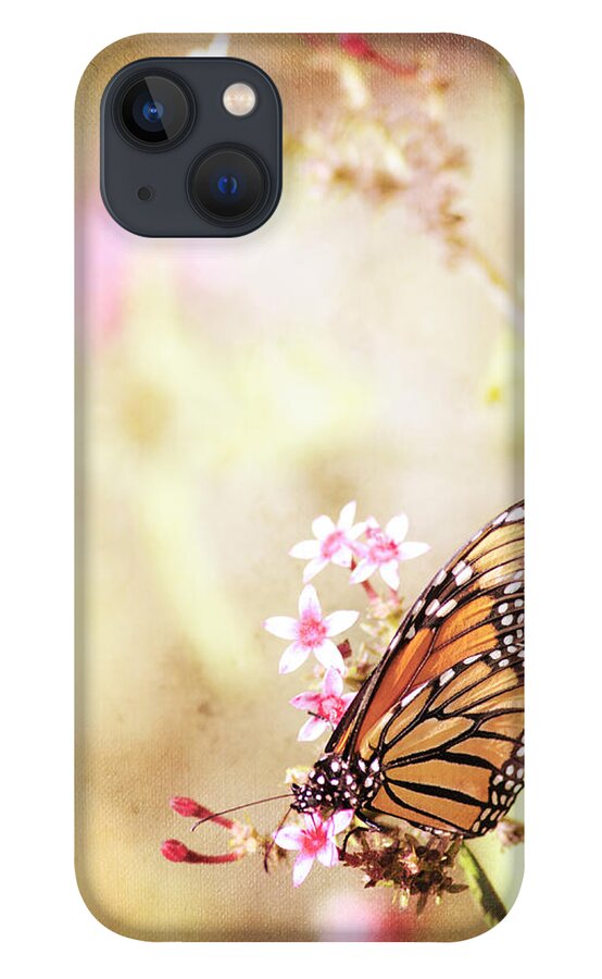 Monarch iPhone 13 Case featuring the photograph Monarch Canvas by Joel Olives
