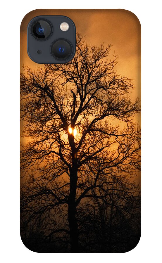 Art iPhone 13 Case featuring the photograph Oak Tree Sunburst by Michael Dougherty