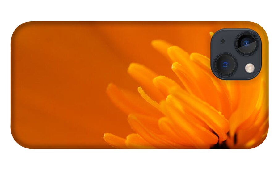 Flower iPhone 13 Case featuring the photograph Orange Poppy by Marie Jamieson
