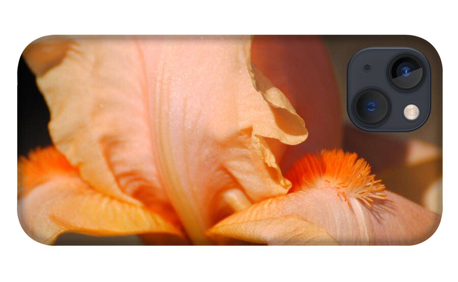 Beautiful Iris iPhone 13 Case featuring the photograph Peach Iris Flower III by Jai Johnson