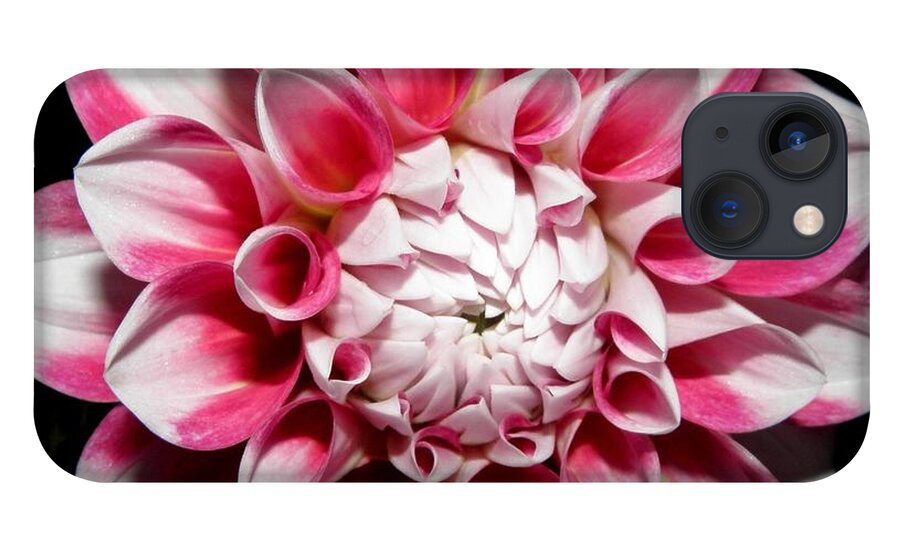 Dahlia iPhone 13 Case featuring the photograph Pedals Of Beauty At Night by Kim Galluzzo