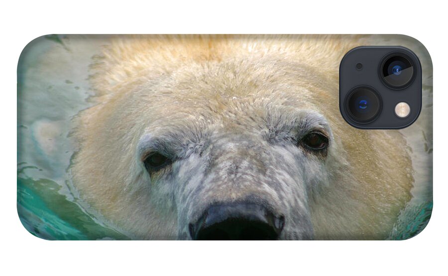 Zoo iPhone 13 Case featuring the photograph Polar Bear Swim by David Rucker