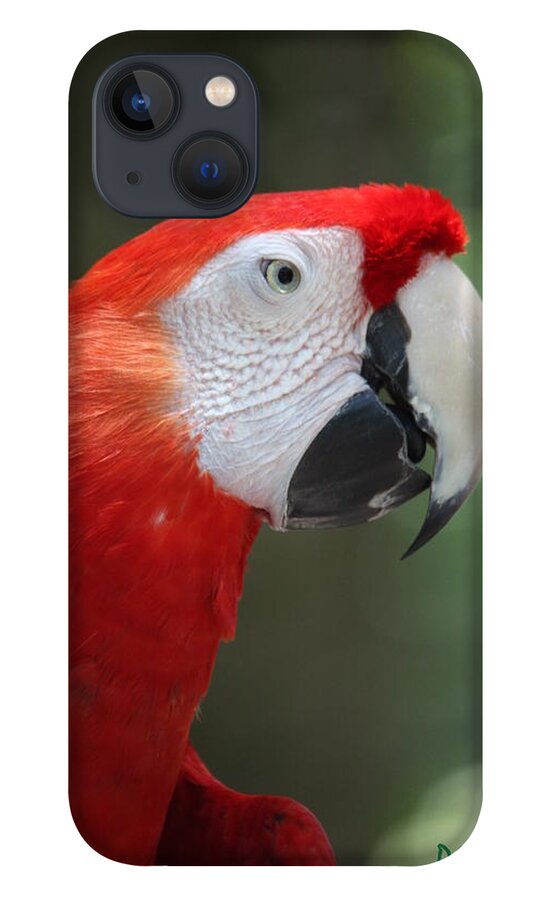 Polly iPhone 13 Case featuring the photograph Polly by Patrick Witz