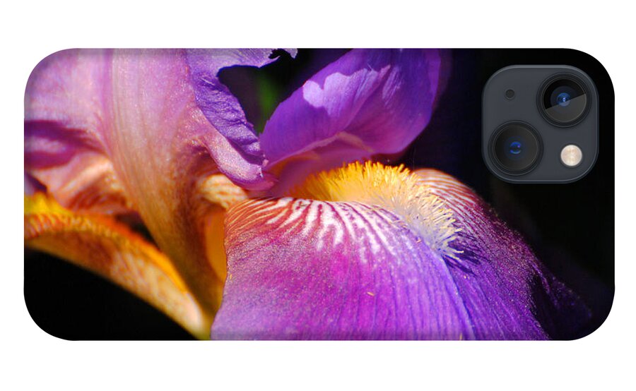 Beautiful Iris iPhone 13 Case featuring the photograph Purple and Yellow Iris Close Up II by Jai Johnson