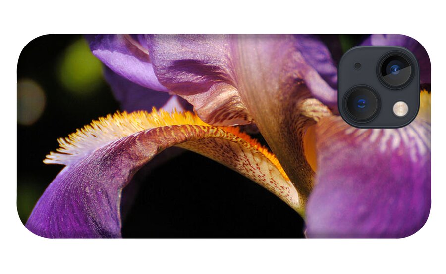 Beautiful Iris iPhone 13 Case featuring the photograph Purple and Yellow Iris Close Up by Jai Johnson