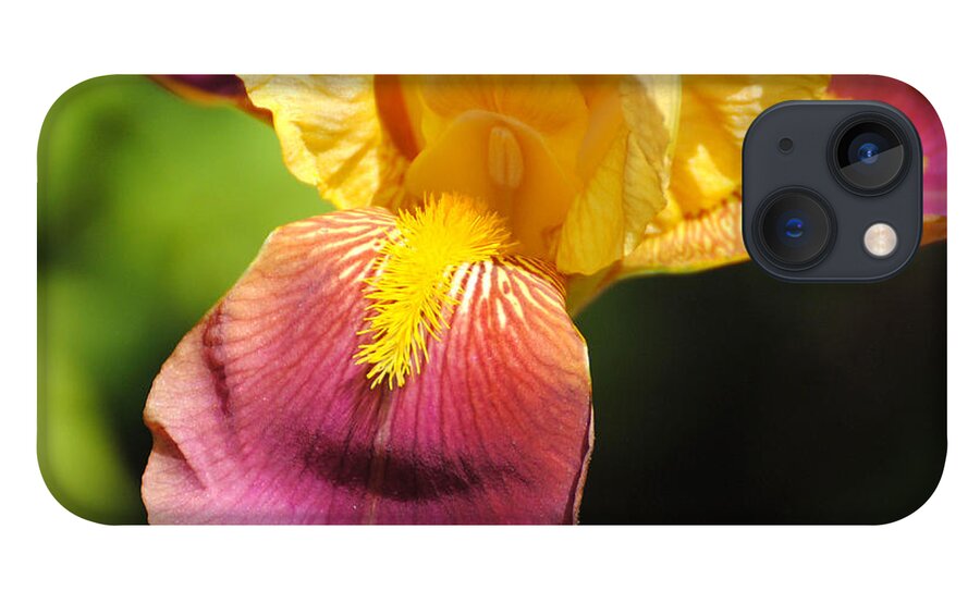 Beautiful iPhone 13 Case featuring the photograph Purple and Yellow Iris III by Jai Johnson