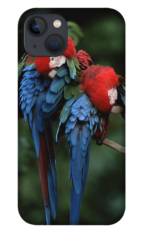 Mp iPhone 13 Case featuring the photograph Red And Green Macaw Ara Chloroptera by Konrad Wothe