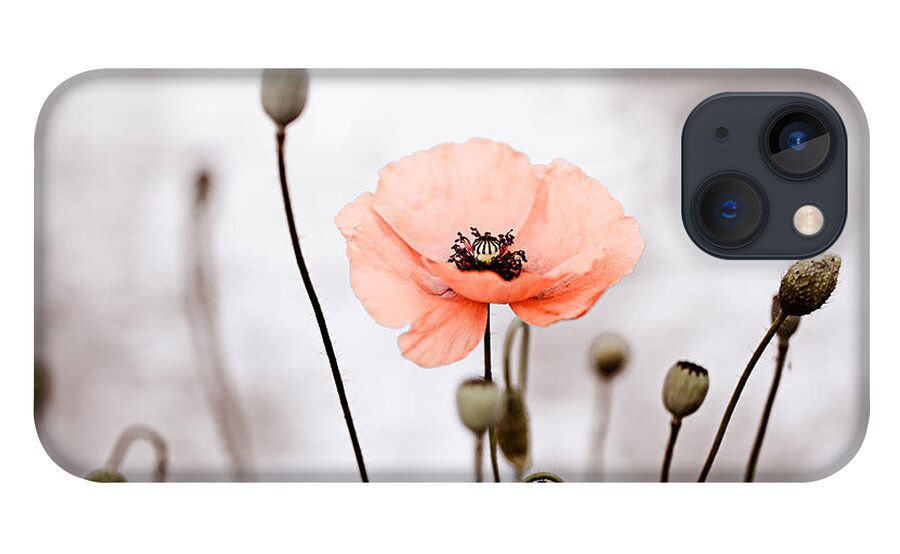 Poppy iPhone 13 Case featuring the photograph Red Corn Poppy Flowers 01 by Nailia Schwarz