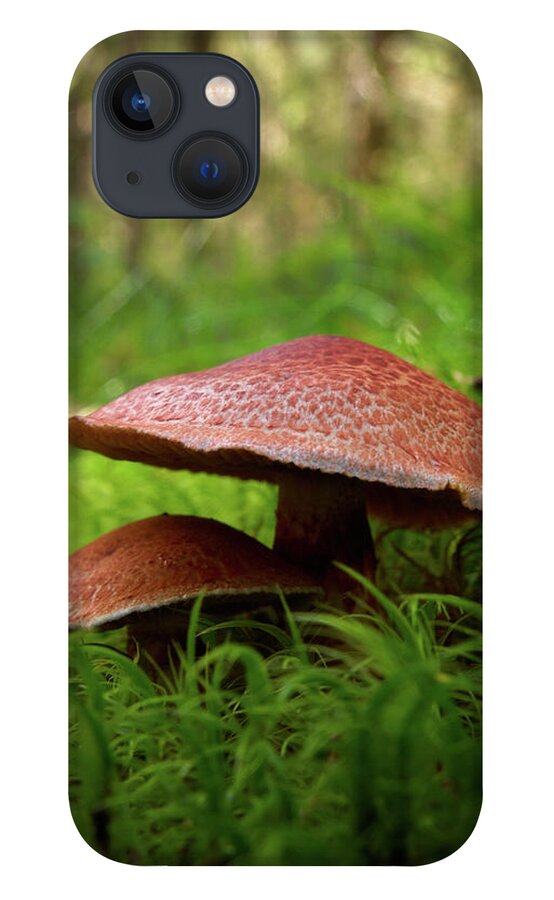 Lehtokukka iPhone 13 Case featuring the photograph Red hats by Jouko Lehto