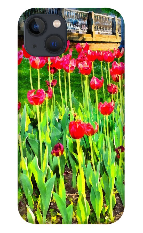 Art iPhone 13 Case featuring the photograph Red tulips by Michael Goyberg