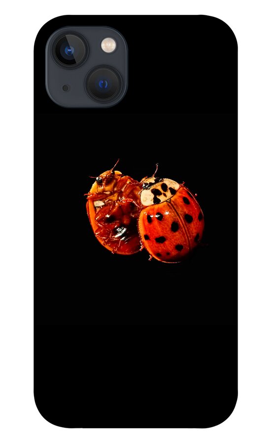 Ladybug iPhone 13 Case featuring the photograph Spotted Ladybug In Reflection by Tracie Schiebel