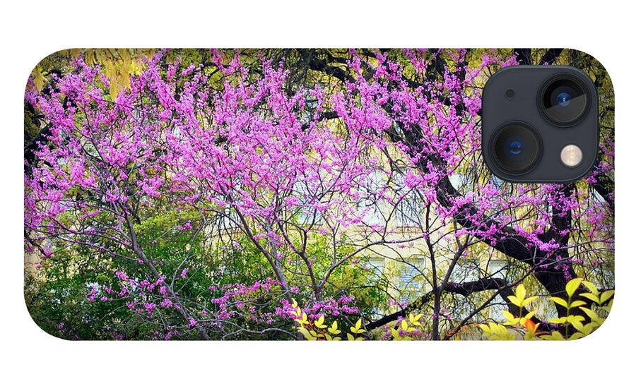 Texas iPhone 13 Case featuring the photograph Spring Trees in San Antonio by Carol Groenen