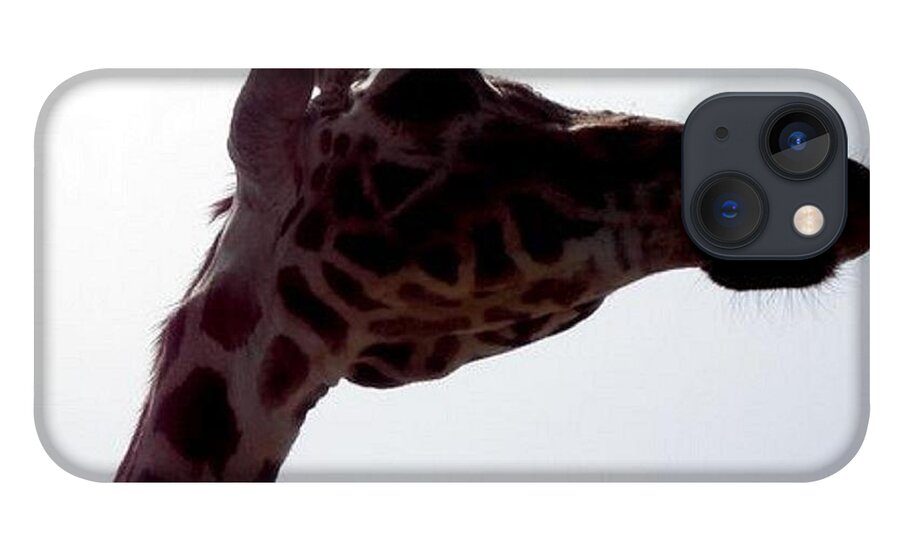 Giraffe iPhone 13 Case featuring the photograph Stretch by Kim Galluzzo