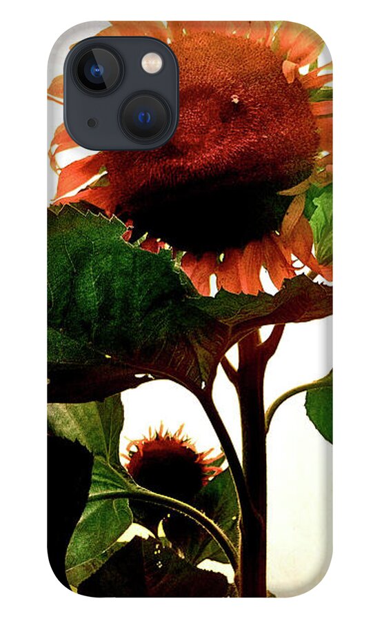 Sunflower iPhone 13 Case featuring the photograph The Business of Bees by Kevyn Bashore