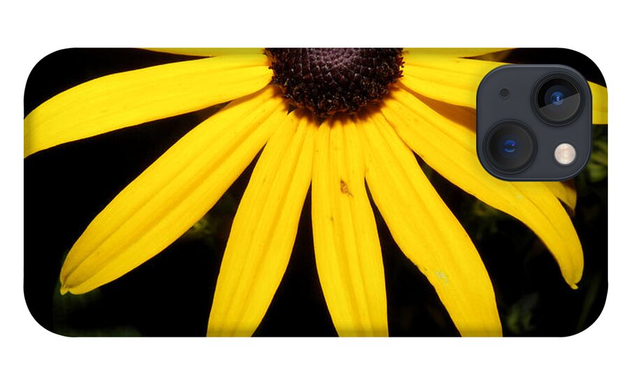Flower iPhone 13 Case featuring the photograph Suzy at night by Kim Galluzzo Wozniak