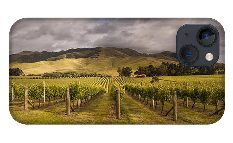 00479623 iPhone 13 Case featuring the photograph Vineyard Awatere Valley In Marlborough by Colin Monteath