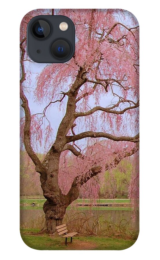 Cherry Blossom Trees iPhone 13 Case featuring the photograph Weeping Spring- Holmdel Park by Angie Tirado