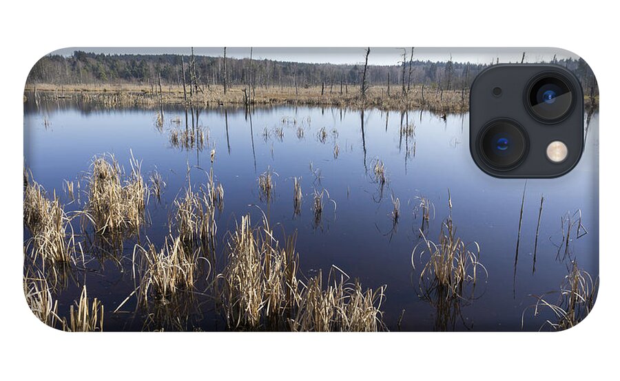 Bog iPhone 13 Case featuring the photograph Wetland Schwenninger Moos by Matthias Hauser