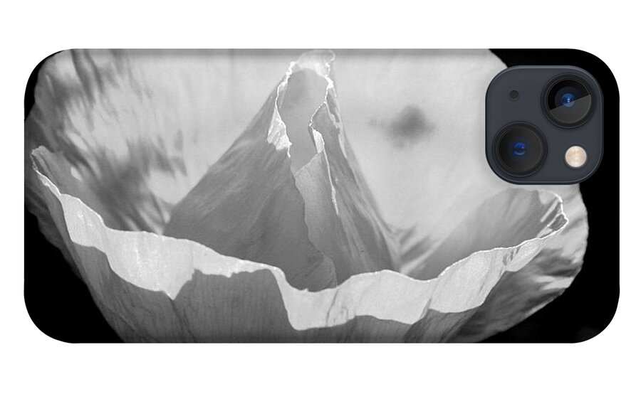 Background iPhone 13 Case featuring the photograph White poppy flower by Emanuel Tanjala
