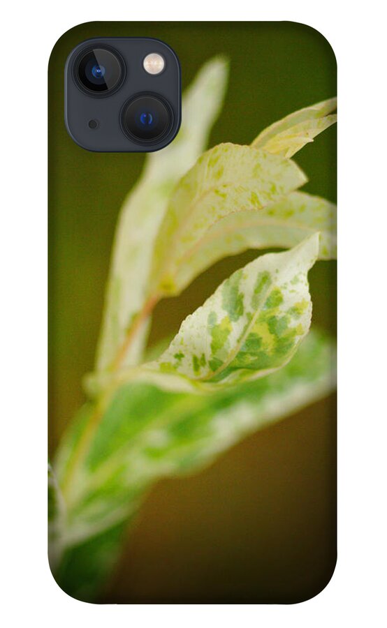 Flora iPhone 13 Case featuring the photograph White Tips by Tatiana Fess