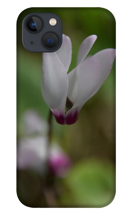 Alone iPhone 13 Case featuring the photograph Wild cyclamen by Michael Goyberg