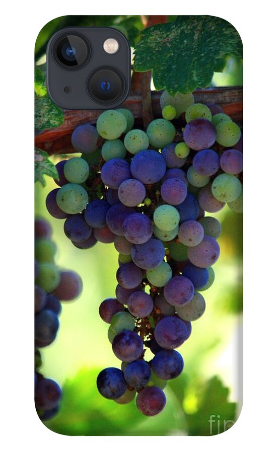 Grapes iPhone 13 Case featuring the photograph Wine to Be by Patrick Witz