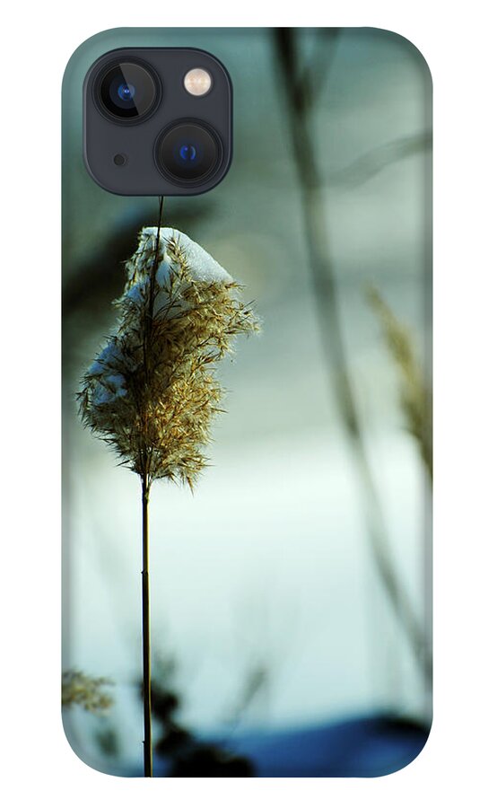 chesapeake Bay iPhone 13 Case featuring the photograph Winter Music by Rebecca Sherman