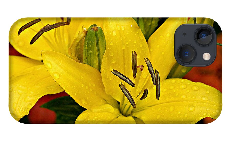 Arrangement iPhone 13 Case featuring the photograph Yellow lilies by Emanuel Tanjala